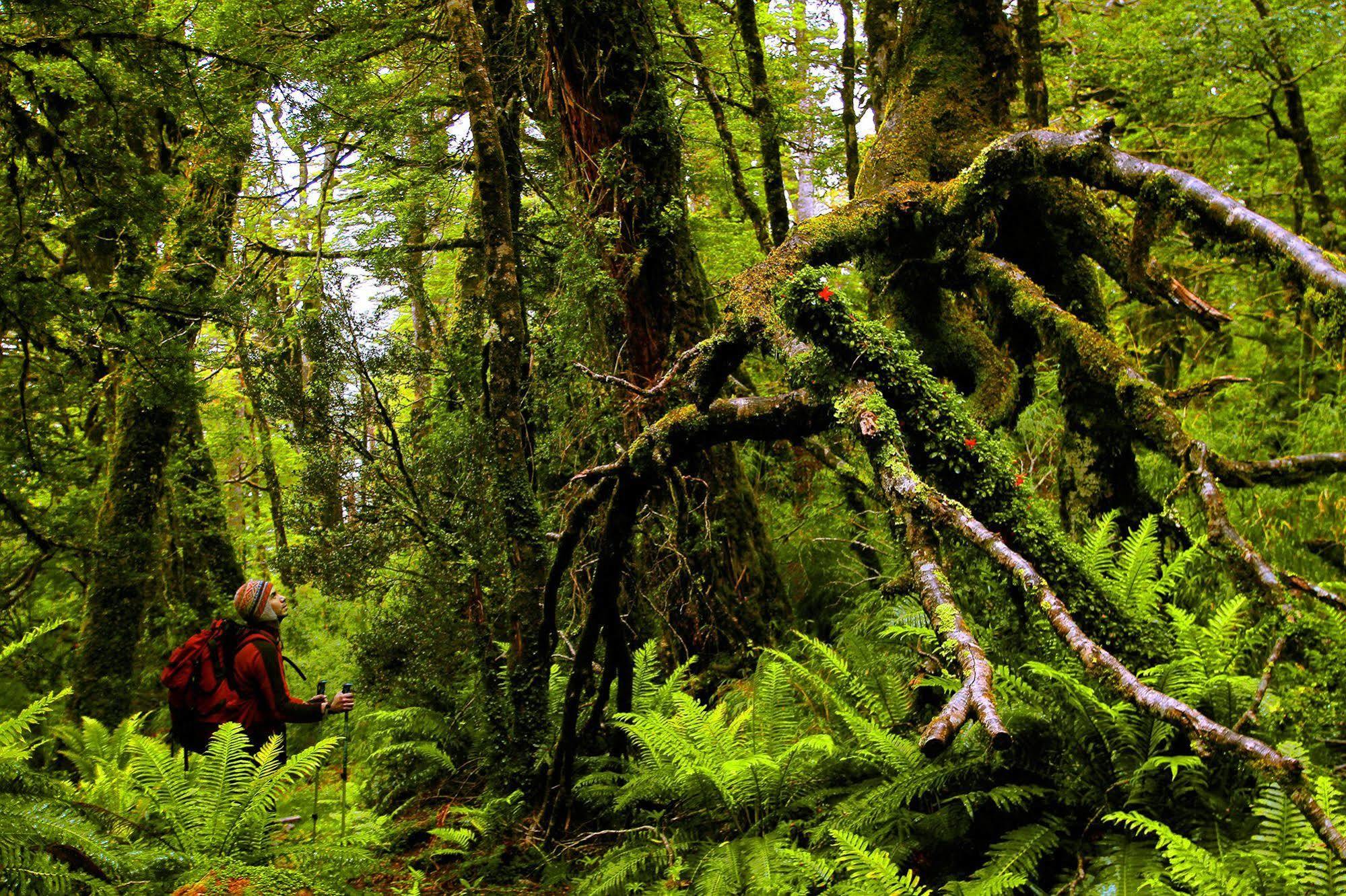 Puyuhuapi Lodge & Spa Dış mekan fotoğraf